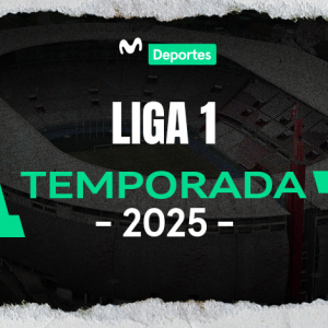 En primera instancia, se tenía previsto que 17 clubes participaran en la Liga 1 temporada 2025, pero esto podría cambiar tras el fallo del Poder Judicial a favor de Ayacucho FC.